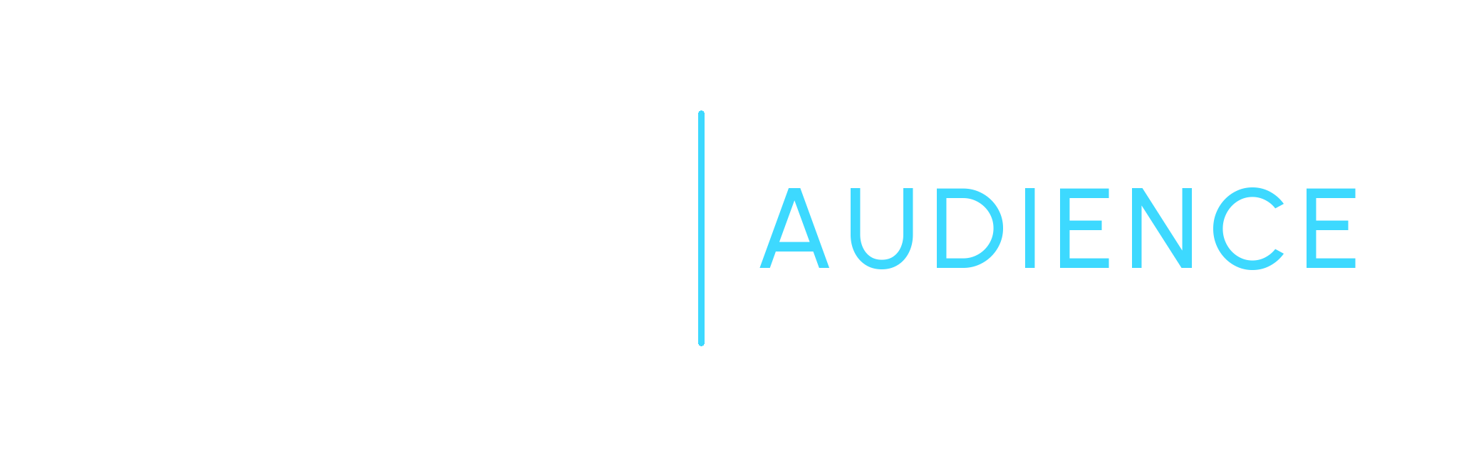 XR Audience
